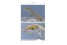 Reptiles of the Lesser Antilles