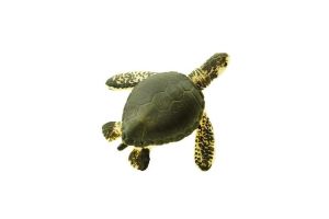 Figurine mini tortue de mer