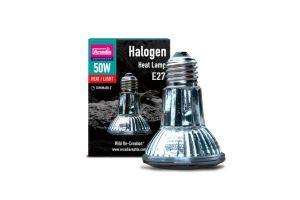 LAMPE LAMPE