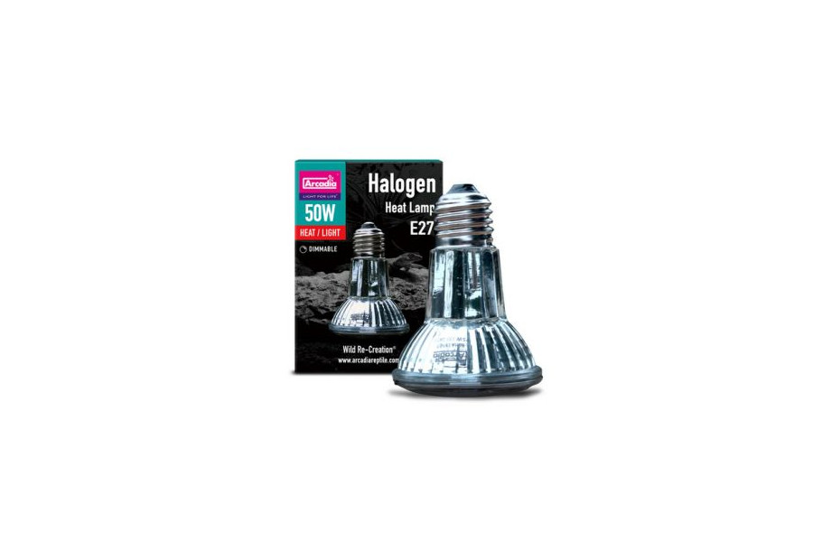 LAMPE LAMPE