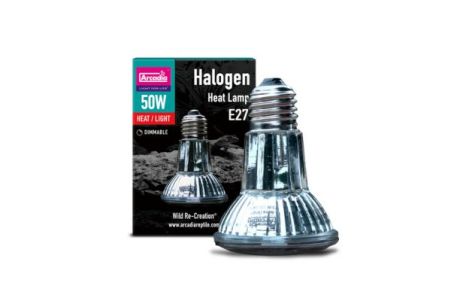 LAMPE