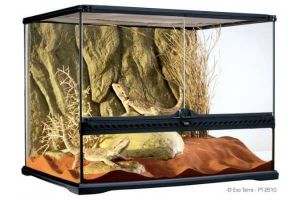 TERRARIUM