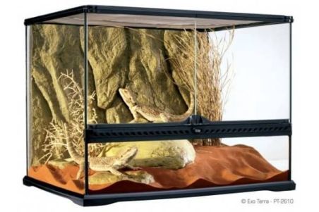 TERRARIUM