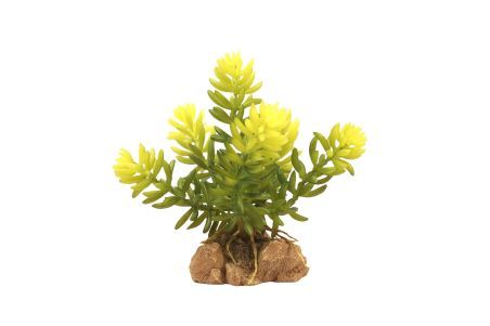 PLANTE ARTIFICIELLE