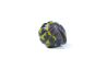 Armadillidium gestroi