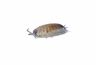 Porcellio silvestri