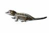 Rhacodactylus auriculatus, stripe