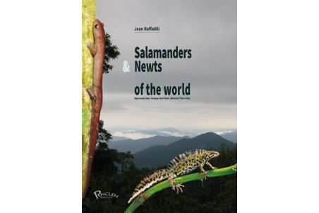 Salamanders & Newts of the world