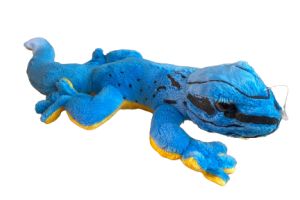 Peluche Lygodactylus williamsi