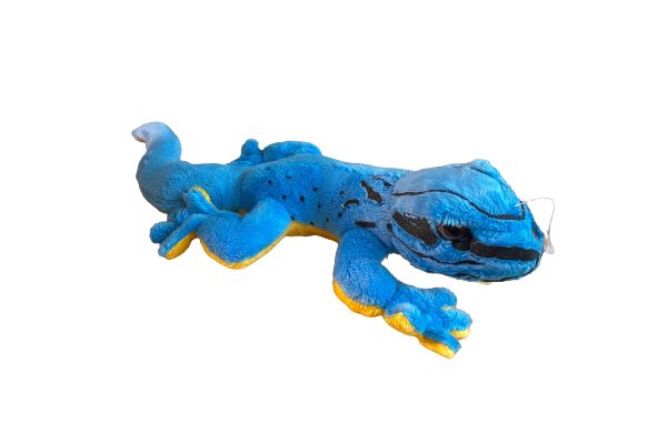 Peluche Lygodactylus williamsi Peluche Lygodactylus williamsi