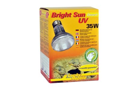 Bright Sun UV Desert