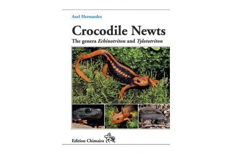 Crocodile Newts - The Primitive Salamandridae of Asia