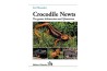 Crocodile Newts - The Primitive Salamandridae of Asia