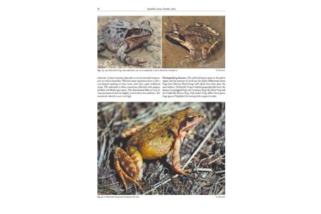 The Amphibians and Reptiles of Russia