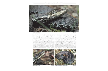 The Amphibians and Reptiles of Russia