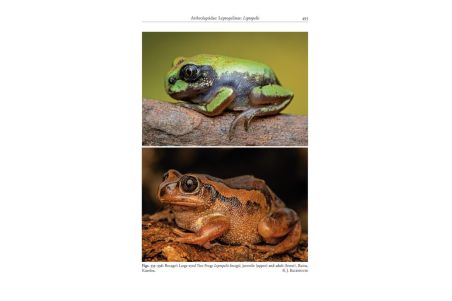 A Field Guide to the Reptiles and Amphibians of Kenya