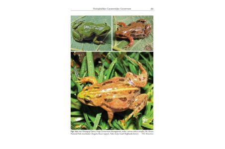 A Field Guide to the Reptiles and Amphibians of Kenya
