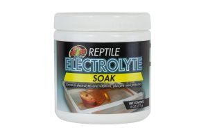 Electrolyte Soak - Bain d'électrolytes
