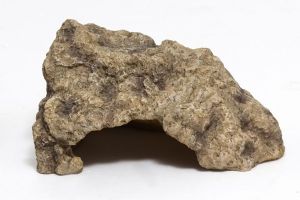 CACHETTE
