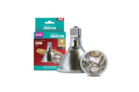 LAMPE