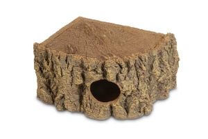 CACHETTE