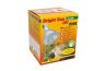 LAMPE UVB