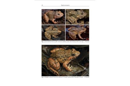Amphibians of Cambodia A field Guide
