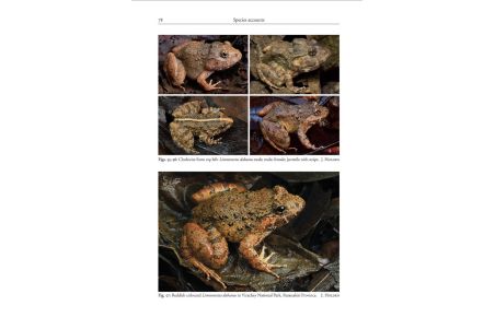 Amphibians of Cambodia A field Guide