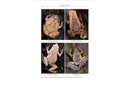 Amphibians of Cambodia A field Guide