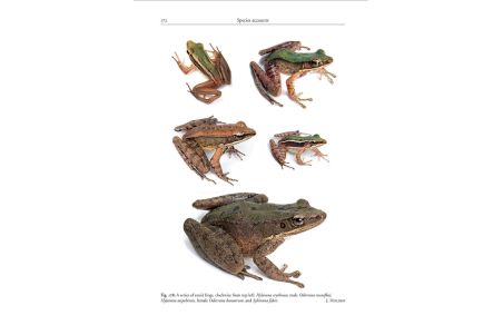 Amphibians of Cambodia A field Guide