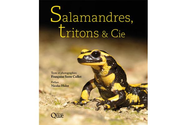 Salamandres, Triton & Cie Salamandres, Triton & Cie