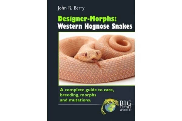Designer-Morphs Western Hognose Snakes
