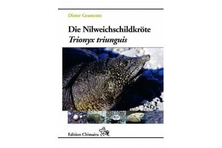 Die Nilweichschildkröte Trionyx triunguis