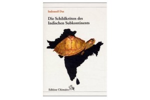 Die Schildkröten des...