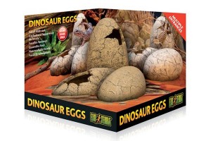 Oeufs de dinosaure