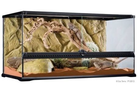 TERRARIUM