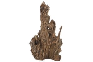 Racine naturelle "Crown Wood"