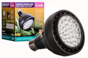 Jungle Dawn LED 40W