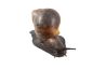 Archachatina marginata ovum