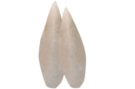 Sepia Bone - Os de seiche 270 gr