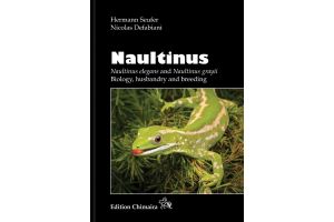 Naultinus - Naultinus elegans & Naultinus grayii