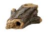 Wood Cave "souche"