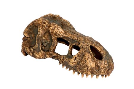 T-Rex Skull Small