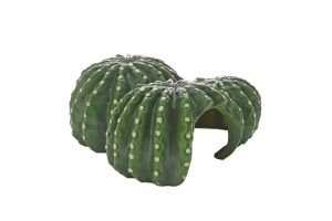 Cactus Home