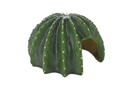 Cactus Home