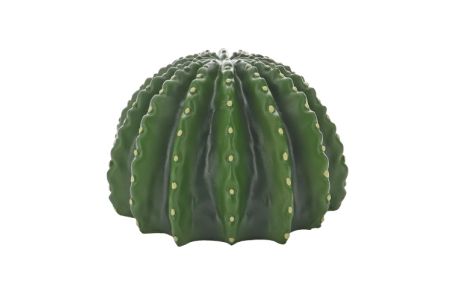 Cactus Home