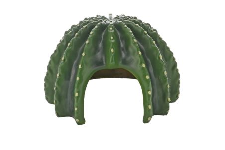 Cactus Home