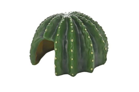 Cactus Home