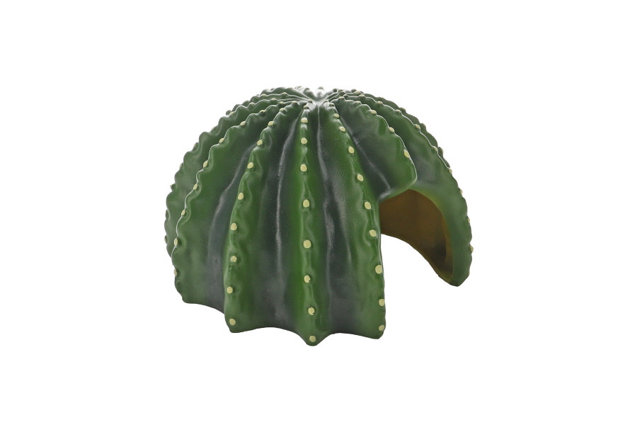 Cactus Home Cactus Home