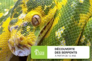 Découverte des serpents - Samedi 26 mars 2022